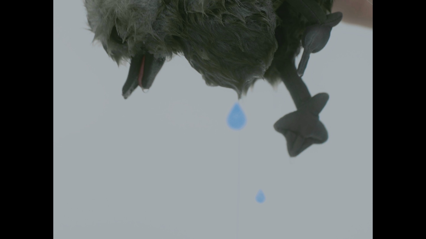 LE SSERAFIM - Swan Song MV 16